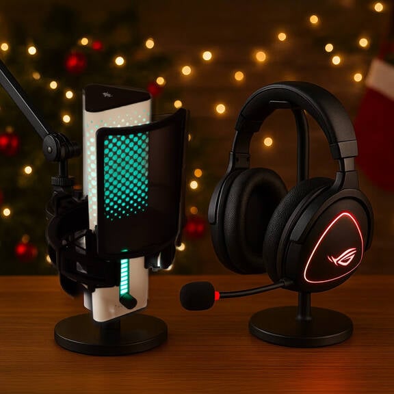 Microphones & Headsets