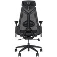 ASUS ROG Destrier Ergo Core Gaming Chair - black image number null