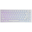 Glorious GMMK Pro White Ice 75% TKL Keyboard - Barebone, ANSI Layout, Silver image number null