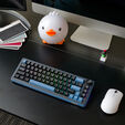 Ducky OK-M 65 Gaming Keyboard, 65%, Hot-Swappable, RGB, ISO - KTT Linear image number null