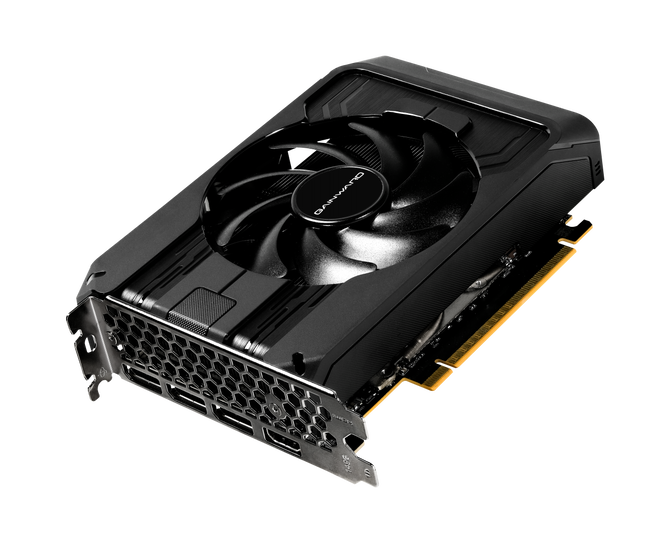Gainward GeForce RTX 5050 Pegasus, 8192 MB GDDR6 image number 1