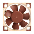 Noctua NF-A4x10 FLX Fan - 40mm image number null