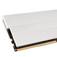 Team Group T-Force Xtreem ARGB, DDR4-3200, CL14 - 16 GB Dual Kit, white image number null