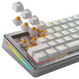 Glorious Panda HE Silent Switches, Hall Effect, Tactile, MX Stem, 45g - Lubed, 36 Pieces image number null