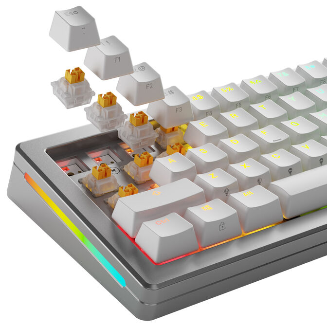 Glorious Panda HE Silent Switches, Hall Effect, Tactile, MX Stem, 45g - Lubed, 36 Pieces image number 8