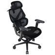 ThunderX3 FLEX Pro Gaming Chair, ergonomic - mesh, black image number null