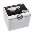 Alphacool Laing DDC310 Pumpe, Complete Edition mit Eisdecke-Top - silber/Acryl image number null