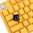 Ducky x Hotkeys Ducky League Aqua Duck (Dark Edition) image number null