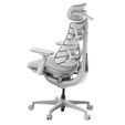 LiberNovo Omni Ergonomic Chair, active backrest, massage - grey image number null