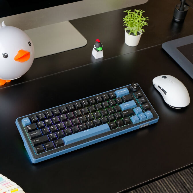 Ducky OK-M 65 Gaming Keyboard, 65%, Hot-Swappable, RGB, ISO - KTT Tactile image number 12