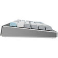 Ducky Cushion 98 Gaming-Tastatur, 96%, US-Layout, Shush Red Switches - Silver image number null