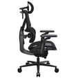 ThunderX3 FLEX Pro Gaming Chair, ergonomic - mesh, black image number null