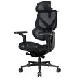 ThunderX3 FLEX Pro Gaming Chair, ergonomic - mesh, black image number null