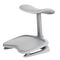 LiberNovo StepSync Footrest for Omni 1 - Grey