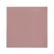 Thermal Grizzly Minus Pad 8 - 100 x 100 x 0.5 mm, 2 pieces image number null